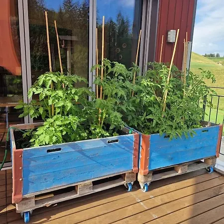 Vakantiehuis Haus Fuer Familien